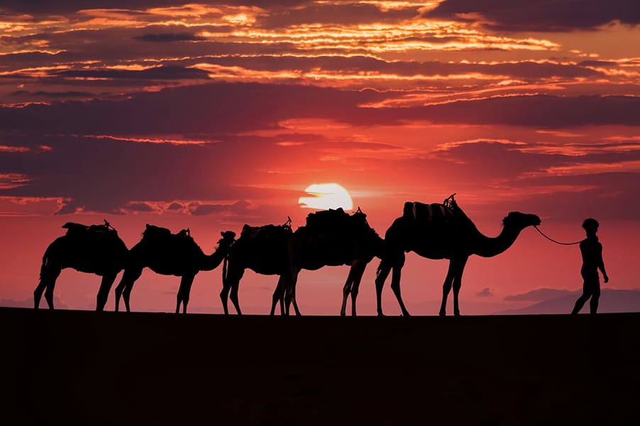 mehdi-el-marouazi-xhzPAomSpwg-unsplash (1)