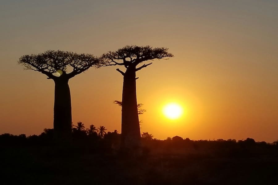 arson-haja-ACHUpG7G2Es-unsplash