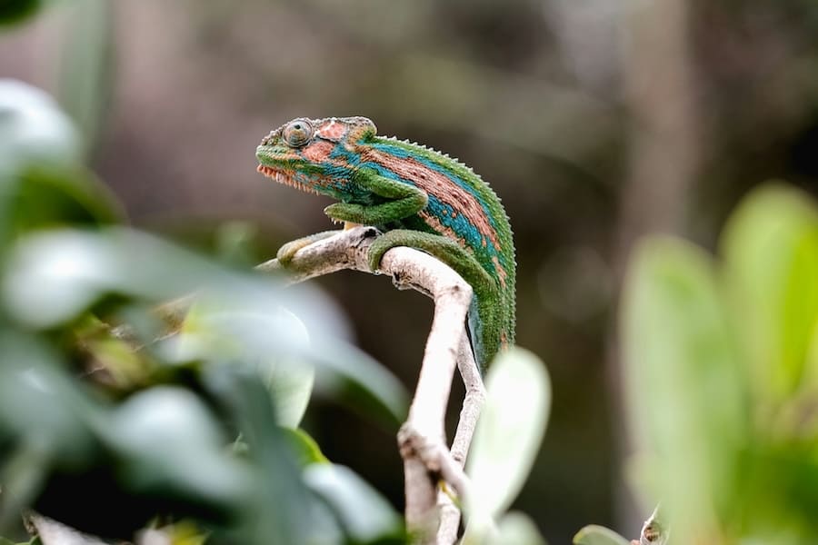 jonathan-leppan-ktwf6kExFAw-unsplash