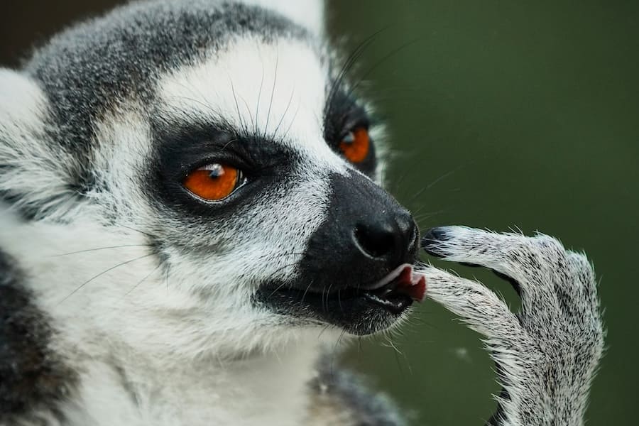 martin-brechtl-oTrItOChlxg-unsplash