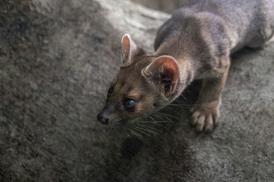 tarryn-grignet-fzNF_sIHsbU-unsplash