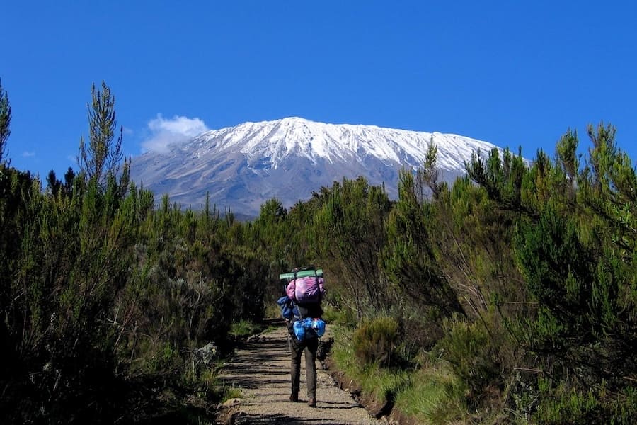 Kilimanjaro_Climb_Rongai_Route_01